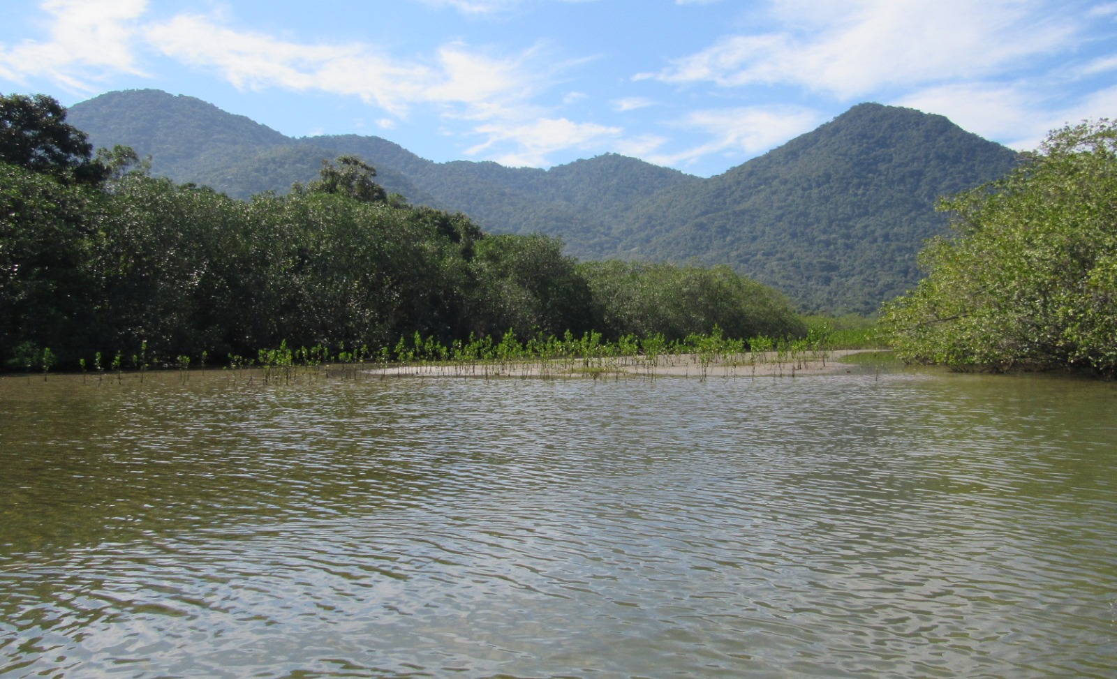 Rio Ubatumirim, Ubatuba-SP (Foto: Renata Takahashi)